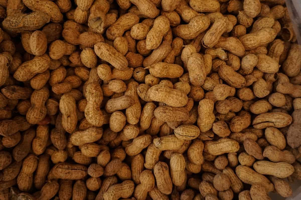 Are Peanuts Keto Friendly? KetoWatt